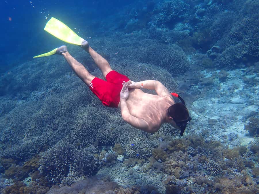 From Lembongan: Nusa Penida Snorkeling Day Trip - Manta rays set the tone from the start