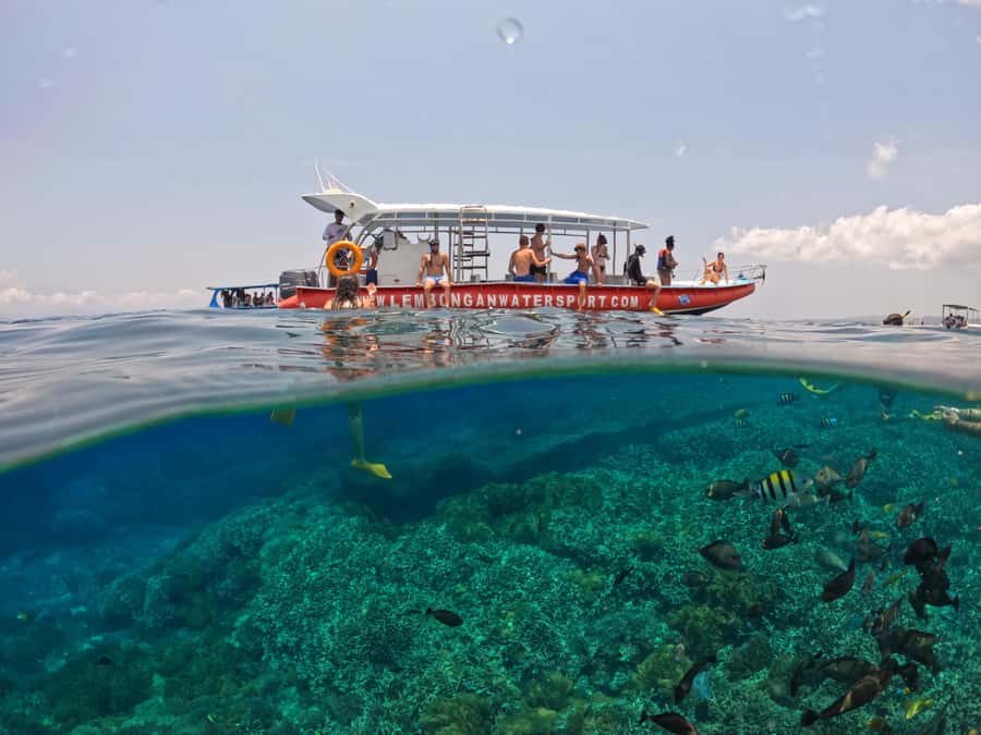 From Lembongan: Nusa Penida Snorkeling Day Trip - Gamat Bay and Mangrove Point add variety