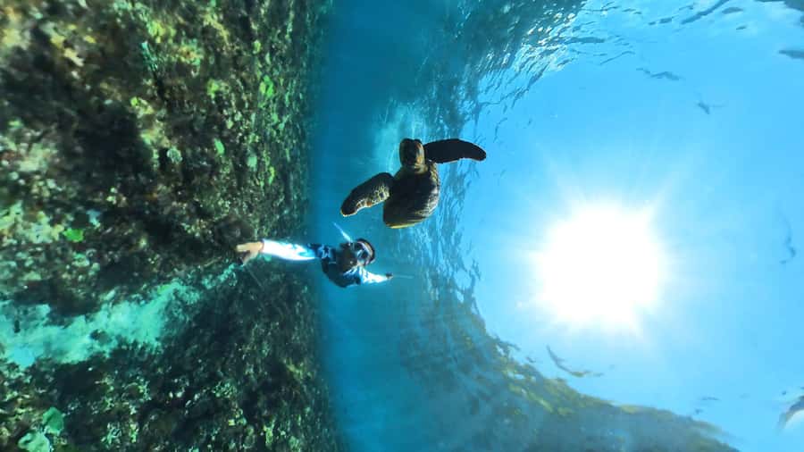 From Lembongan: Nusa Penida Snorkeling Day Trip - Meeting at Lembongan Watersport