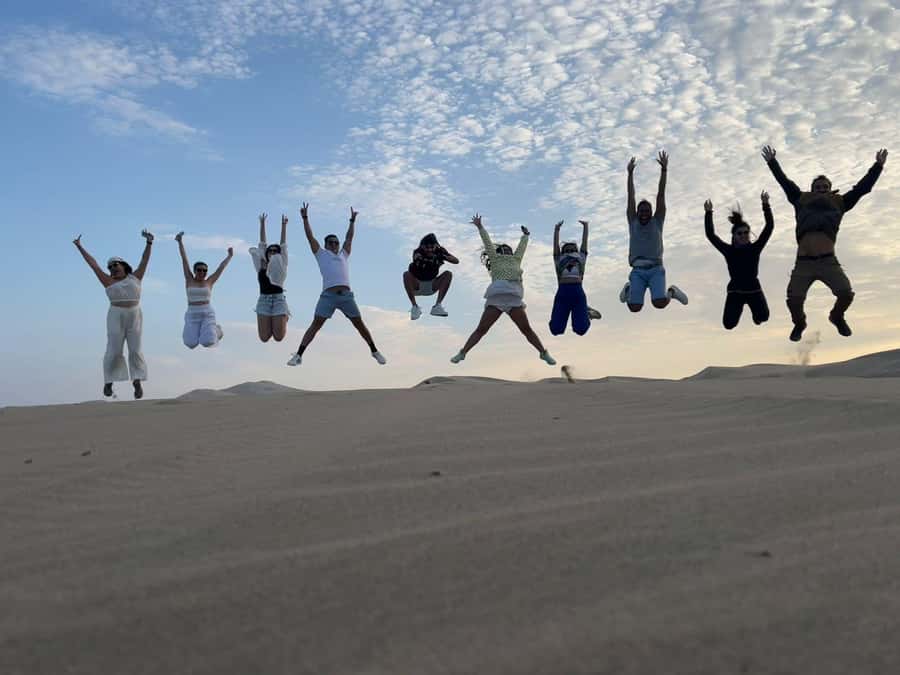 From Lima: Day trip to Paracas, Ica and Oasis Huacachina - Meeting the wildlife around the Ballestas Islands