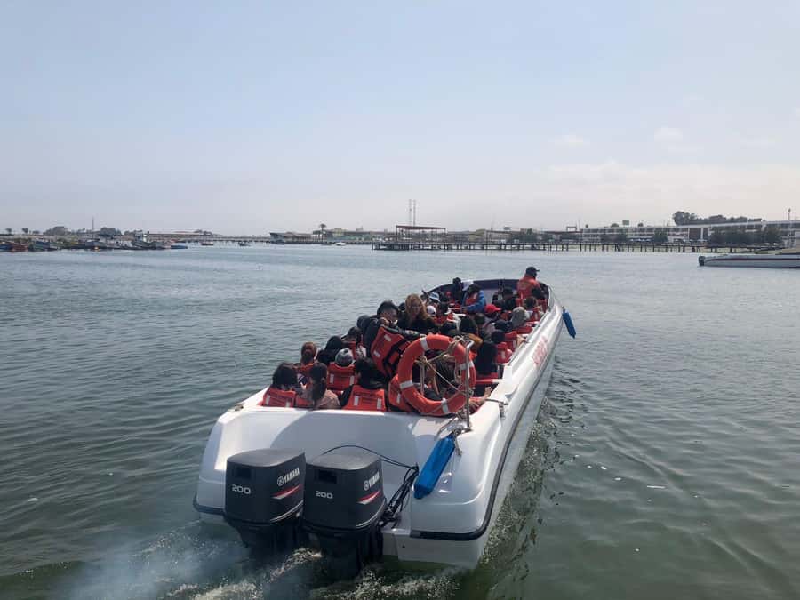 From Lima: Day Trip to Paracas, Ica & Oasis Huacachina - Ballestas Islands: wildlife, waves, and El Candelabro