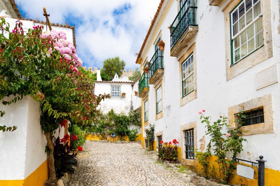 From Lisbon: Day Trip to Porto, Óbidos, and Nazaré - Should you book it?