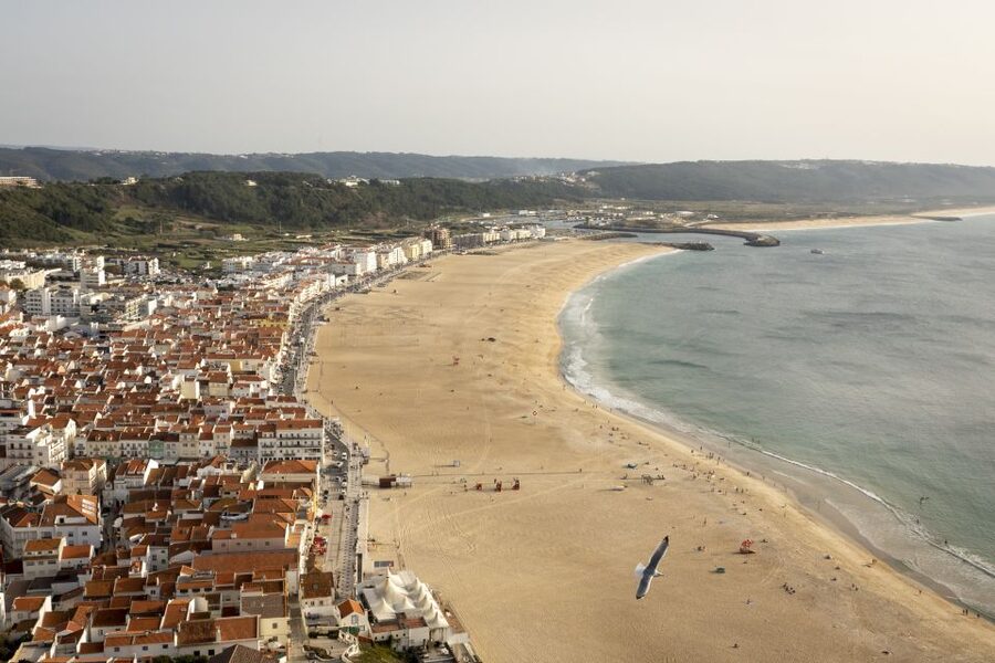 From Lisbon: Day Trip to Porto, Óbidos, and Nazaré - Porto: three hours of old streets, tiles, and river views