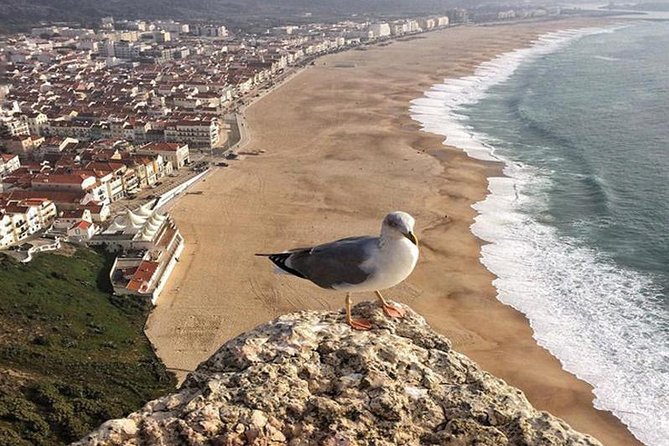From Lisbon: Fatima Batalha Nazare & Obidos Small Group Day Trip - Batalha Monastery and Portugal’s medieval victory
