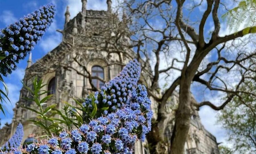 From Lisbon: Sintra, Pena Palace and Regaleira Day Trip - Pena Palace from the gardens to the wall walk