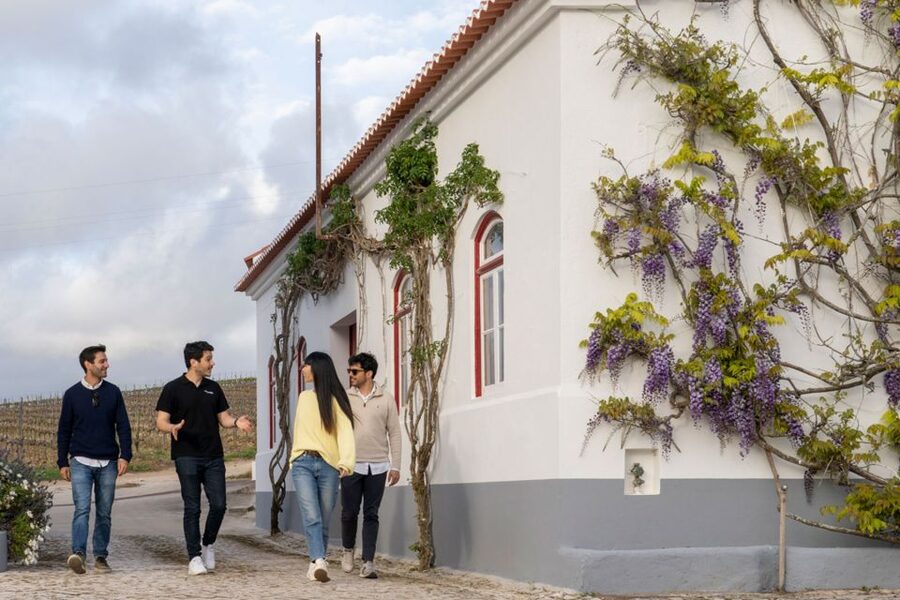 From Lisbon: Sintra & Pena Palace Day Trip with Wine Tasting - Why this Sintra and Mafra combination works
