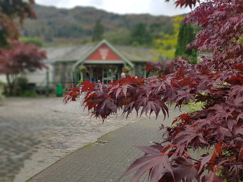 From Liverpool: Lake District Sightseeing Adventure Day Trip - Who should book this Lake District tour?