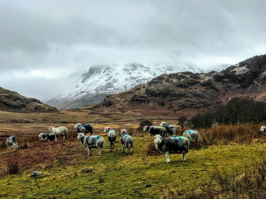 From Liverpool: Lake District Sightseeing Adventure Day Trip - Blea Tarn, the day’s best walk
