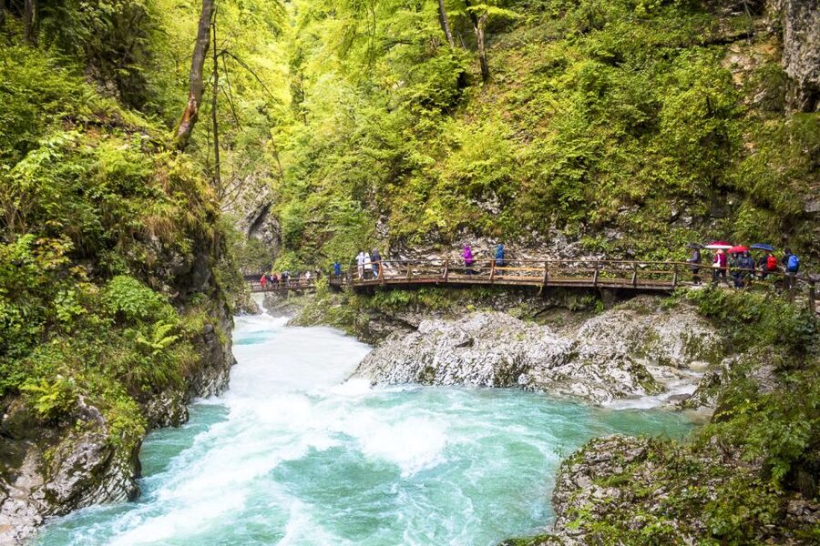 From Ljubljana: Day Trip to Bled and Vintgar Gorge - What the $142 price really includes