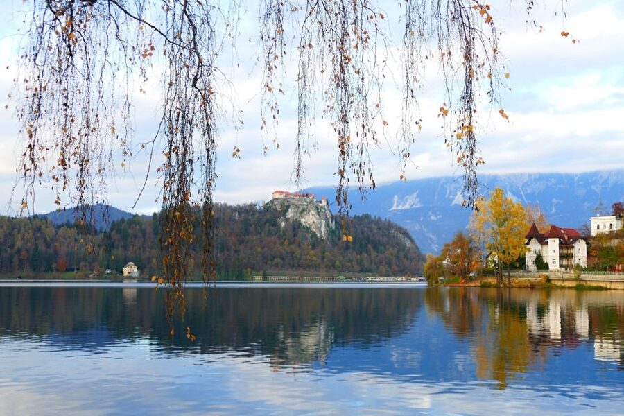 From Ljubljana: Private Bled Lake Day Trip - Who should book this morning outing