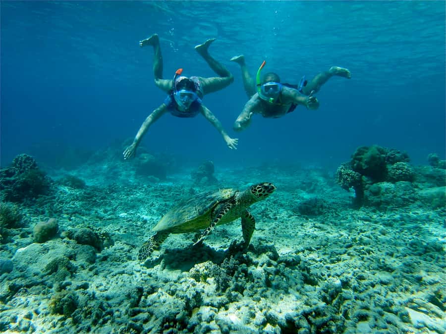 From Lombok: Gili Islands Snorkeling Day Trip - What the boat day feels like from Nipah Beach