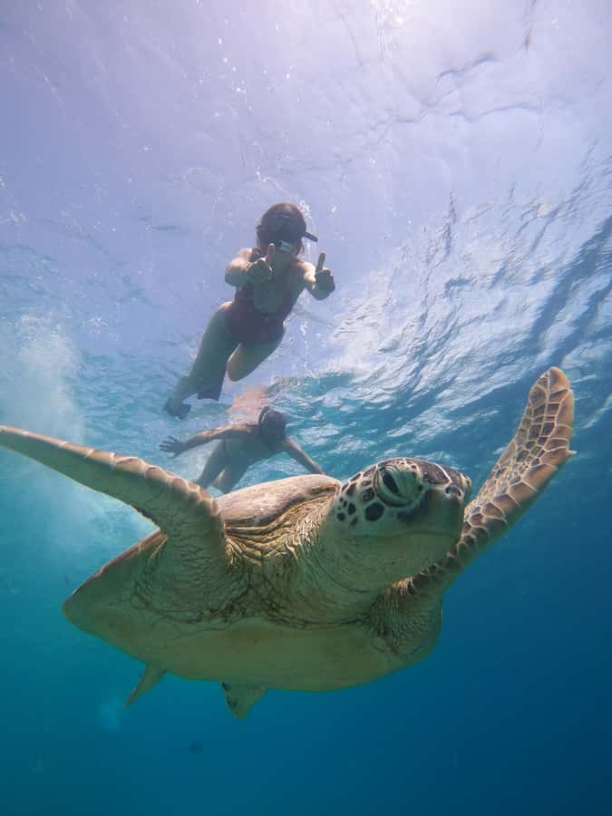 From Lombok: Gili Islands Snorkeling Day Trip - The guides are a major part of the value