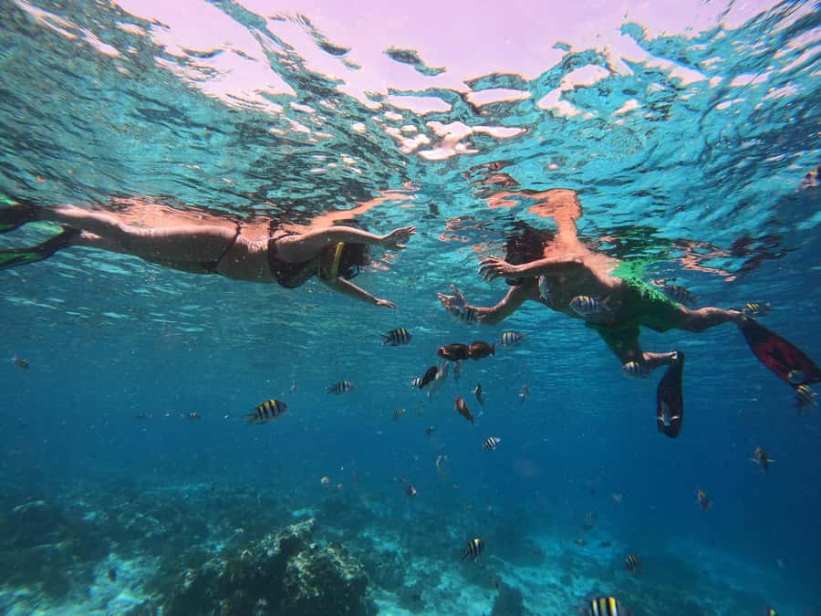 From Lombok: Gili Islands Snorkeling Day Trip - Who should book this Gili Islands day trip?