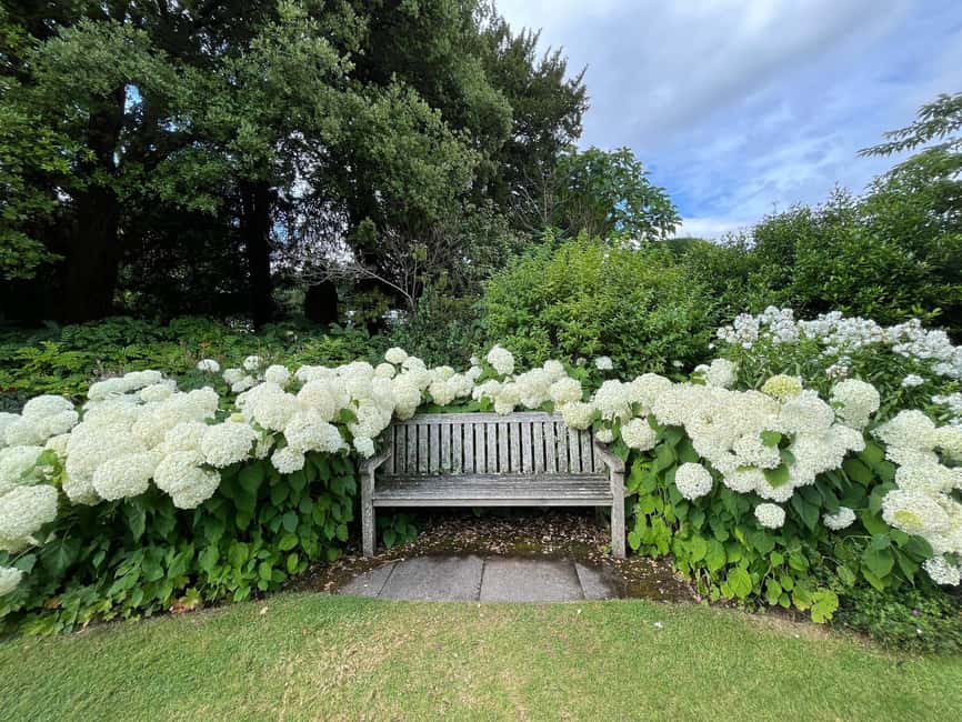 From London: Day Trip to Downton Abbey, Oxford and Bampton - How to prepare for the 10-hour day