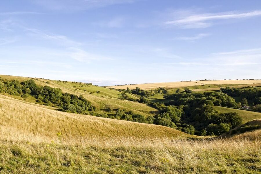 From London: Stonehenge and Bath Day Trip with Ticket - Bath from the Royal Crescent to the Roman Baths