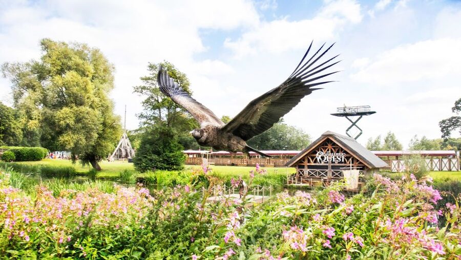 From London: Warwick Castle Day Trip by Rail - Gardens, views, and time outdoors