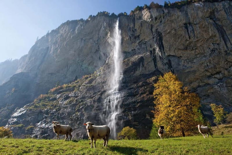 From Lucerne: Day Trip to Grindelwald & Lauterbrunnen - Key points at a glance