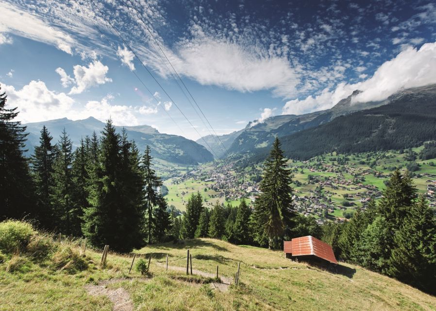 From Lucerne: Day Trip to Grindelwald & Lauterbrunnen - Choosing between Bachalpsee, Pfingstegg, and Glacier Canyon