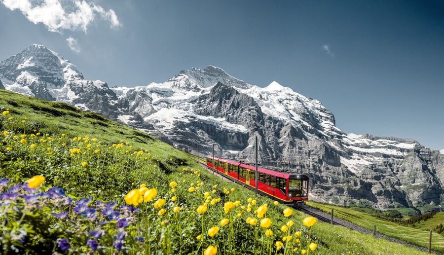 From Lucerne: Day Trip to Jungfraujoch – Top of Europe - Ice Palace and Alpine Sensation add variety indoors