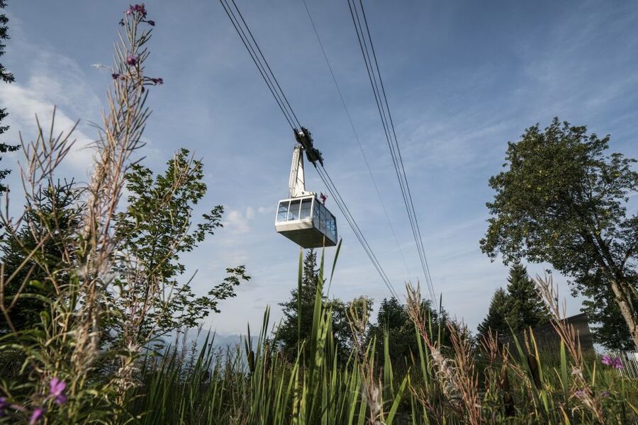 From Lucerne: Mount Rigi Day Trip with Cruise and Cable Car - The 1871 train climb to Rigi Kulm