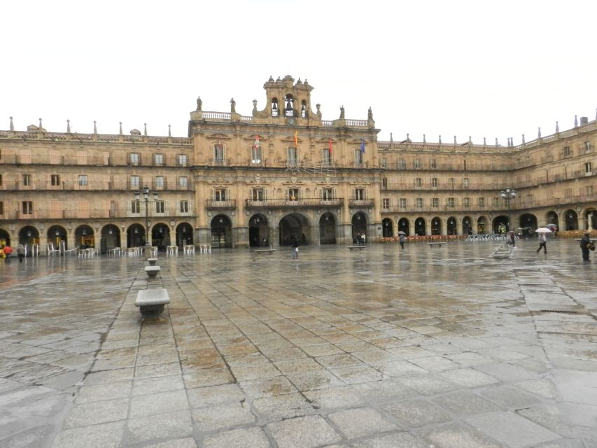 From Madrid: Ávila and Salamanca Guided Day Trip - What the guides add to the day