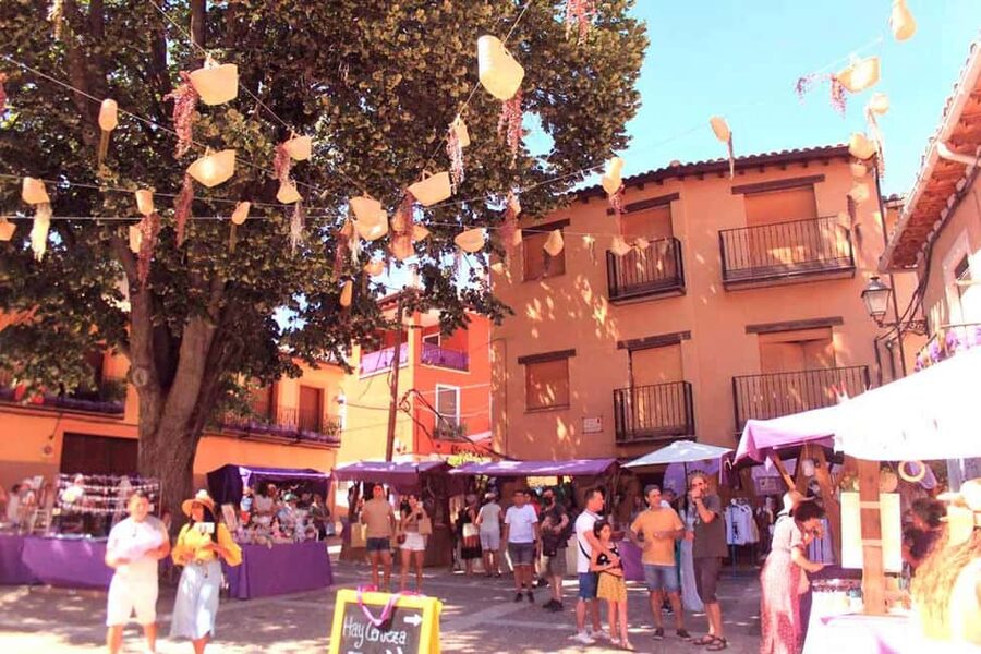 From Madrid: Day Trip to Brihuega Lavender Fields - Key points to know before booking
