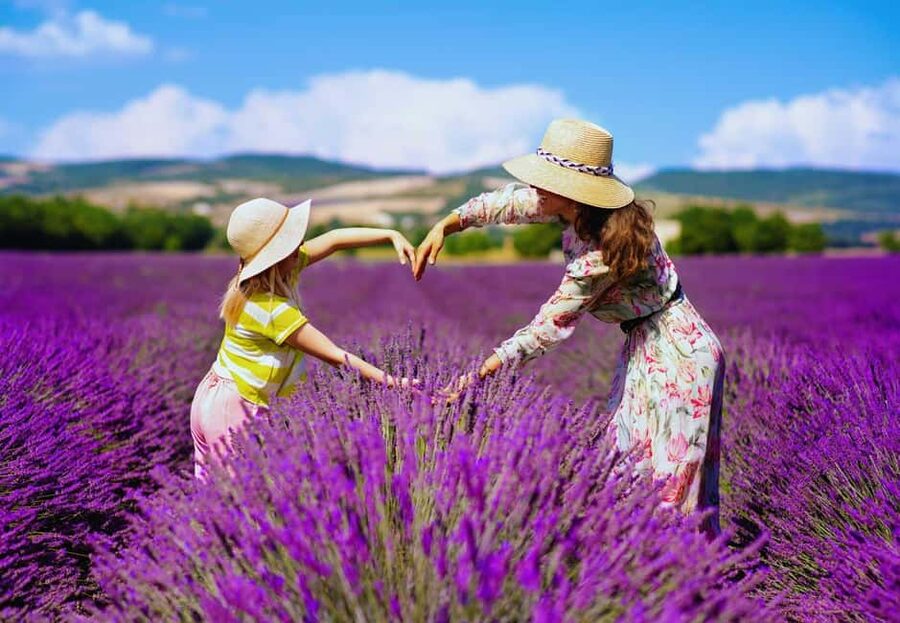 From Madrid: Day Trip to Brihuega Lavender Fields - The return to Madrid and the day’s pace