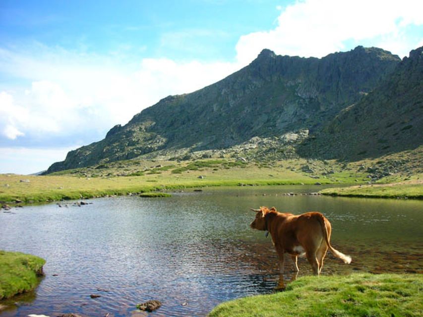 From Madrid: Day Trip to Guadarrama National Park - Key points before you book