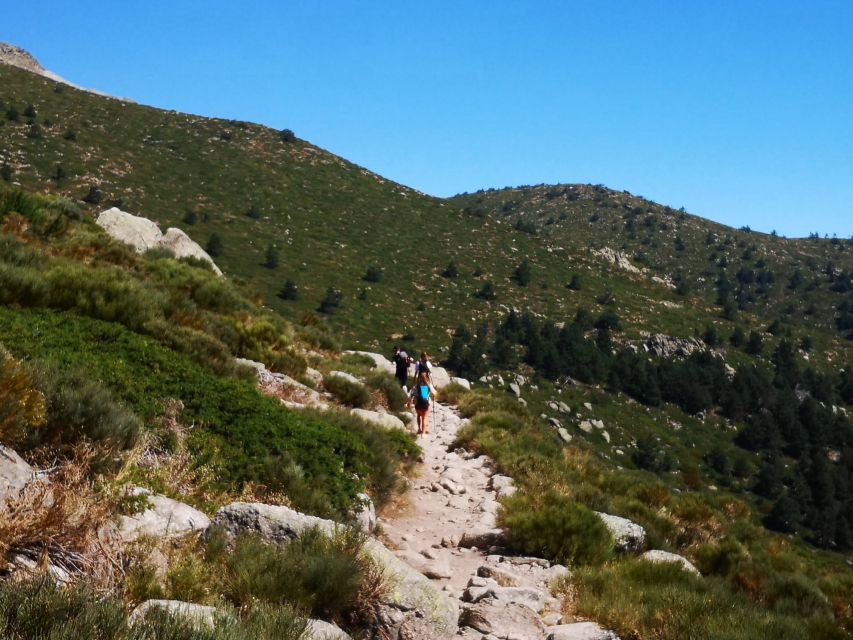 From Madrid: Day Trip to Guadarrama National Park - High passes at Puerto de Navacerrada and Puerto de Cotos