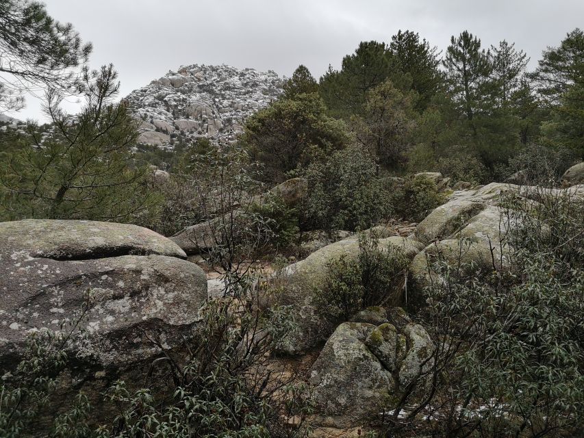 From Madrid: Day Trip to Guadarrama National Park - Two hours at Mirador de las 6 Panorámicas