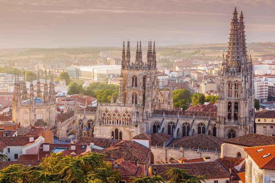 From Madrid: Day trip to Toledo and Don Quixote Windmills - Booking details worth knowing