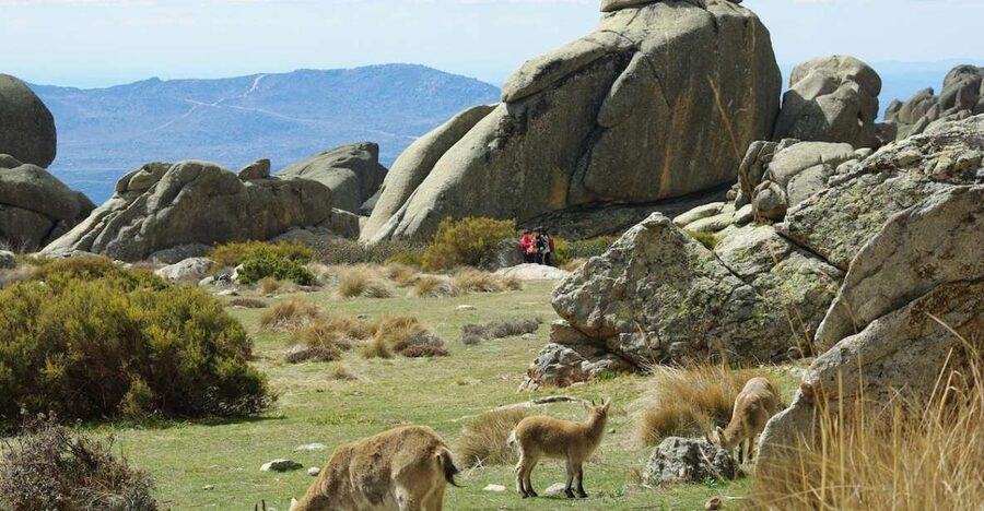 From Madrid: Sierra de Guadarrama Hiking Day Trip - From Madrid streets to Sierra de Guadarrama peaks