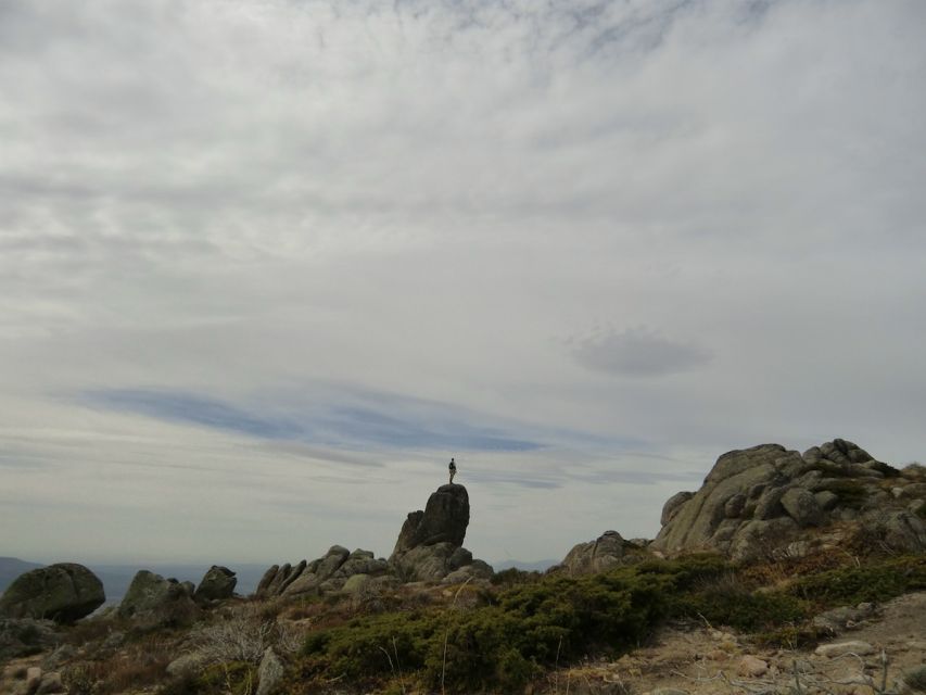 From Madrid: Sierra de Guadarrama Hiking Day Trip - Four hours on foot, with the route shaped around you