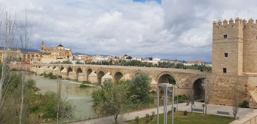 From Malaga and Costa Del Sol: Cordoba Day Trip - Why Córdoba makes a good day trip from Malaga