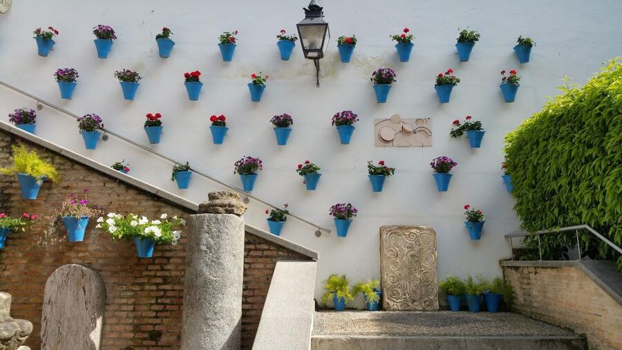From Malaga and Costa Del Sol: Cordoba Day Trip - Choosing the Mosque-Cathedral option
