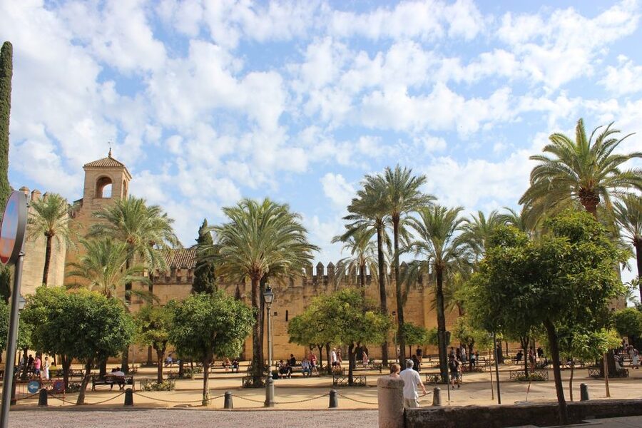 From Malaga and Costa Del Sol: Cordoba Day Trip - Who should book this Córdoba day trip?