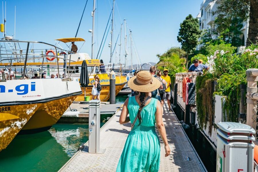 From Malaga: Day trip to Gibraltar and Dolphin Boat Tour - How much value do you get for $73?