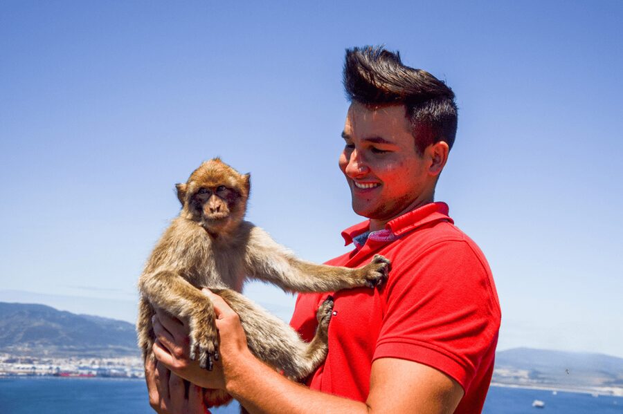 From Malaga: Full-Day Trip to Gibraltar - Key points to know before booking
