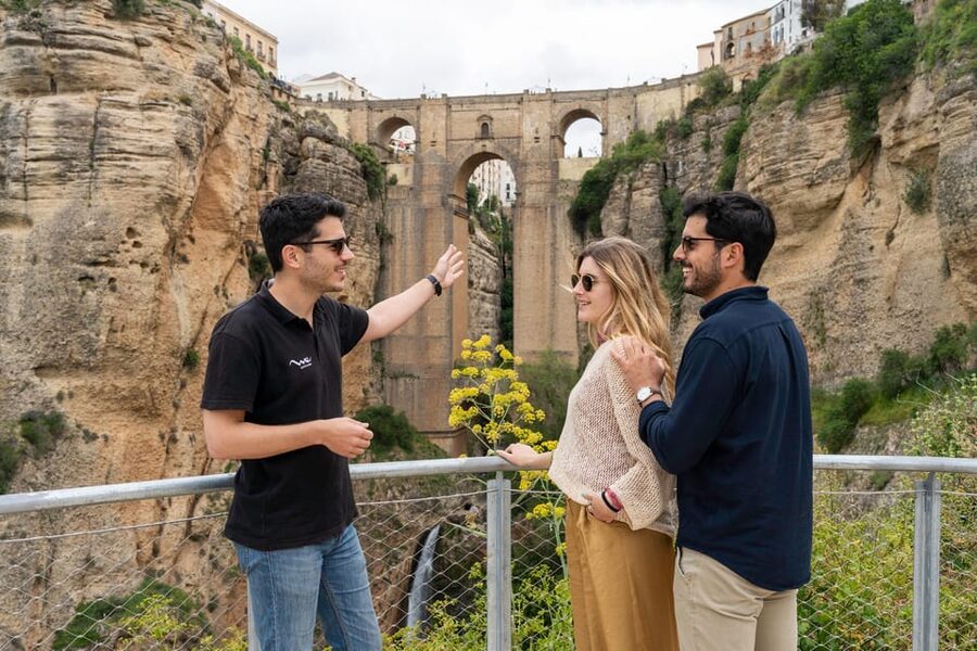 From Málaga: Ronda, White Village & Sevilla Day Trip - What the guide adds
