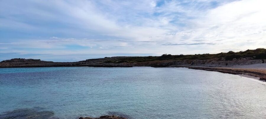 From Mallorca: Guided Day Trip to Menorca - Transport, comfort, and the long-day question