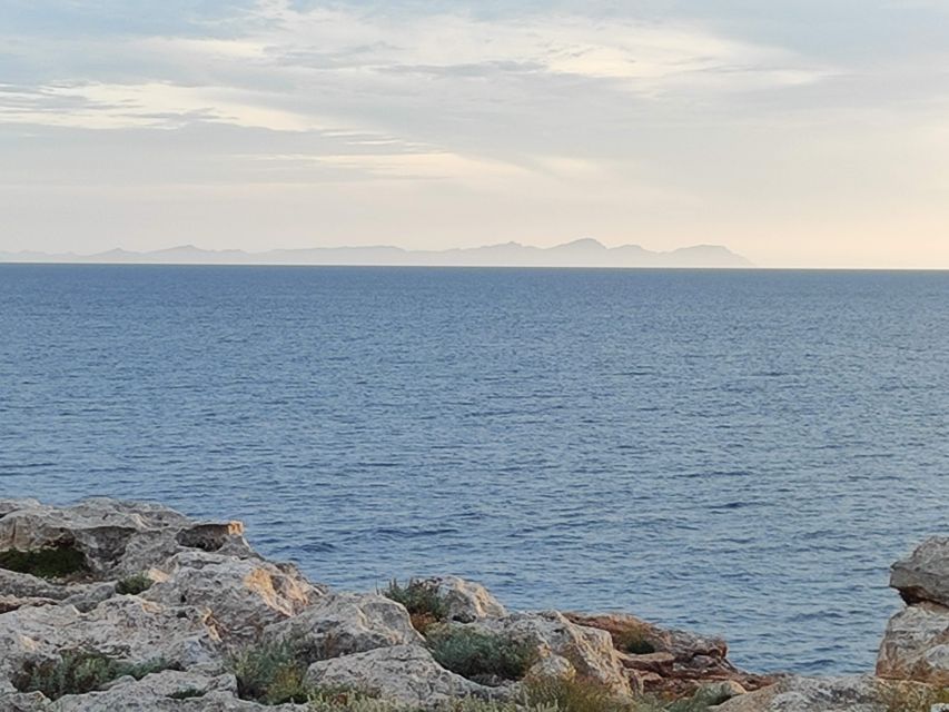 From Mallorca: Guided Day Trip to Menorca - Fornells, a fishing village with a curved cove