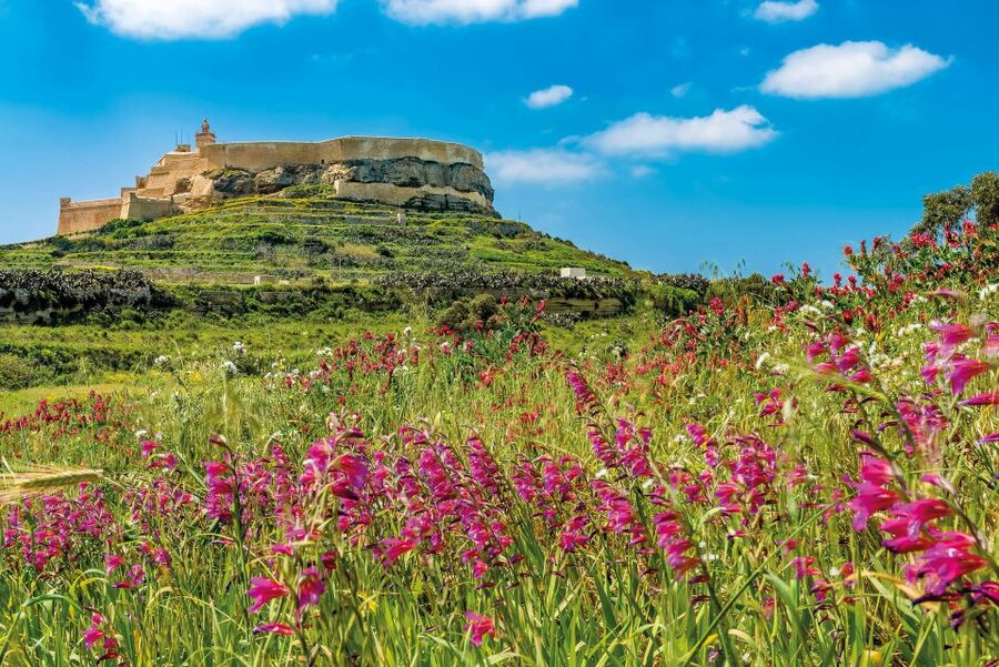 From Malta: Gozo Day Trip Including Ggantija Temples - Dwejra and the Inland Sea