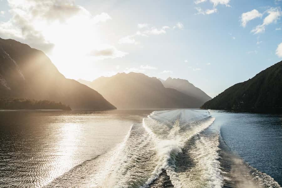 From Manapouri: Doubtful Sound Wilderness Day Trip - Finding dolphins, seals, penguins, and birds