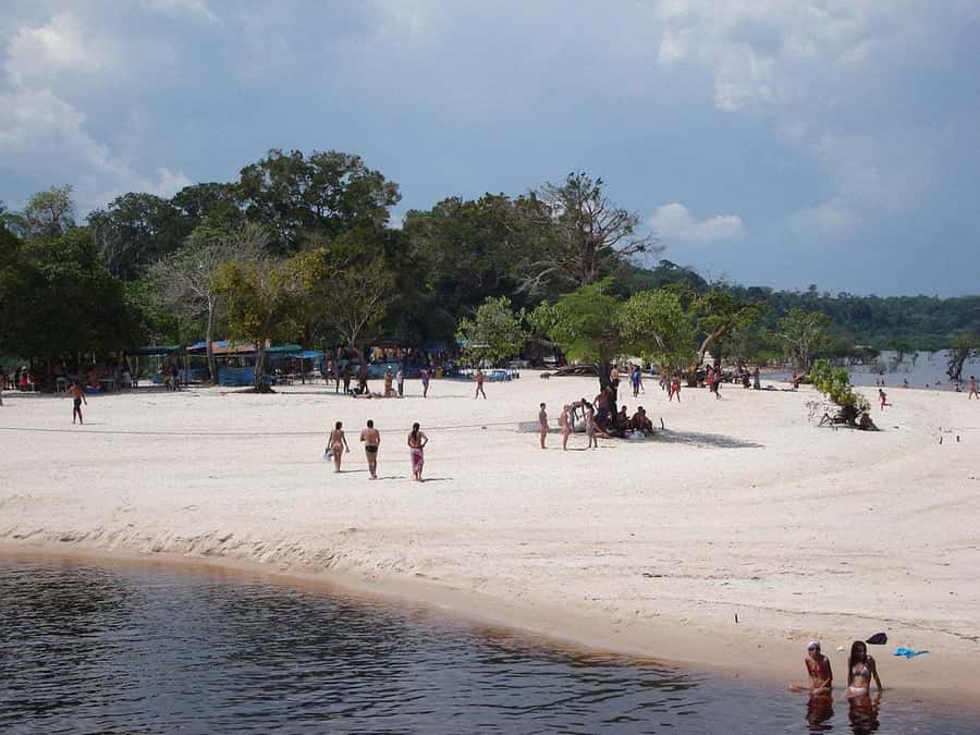 From Manaus: Negro River Half-Day Trip - What the $90 price really covers