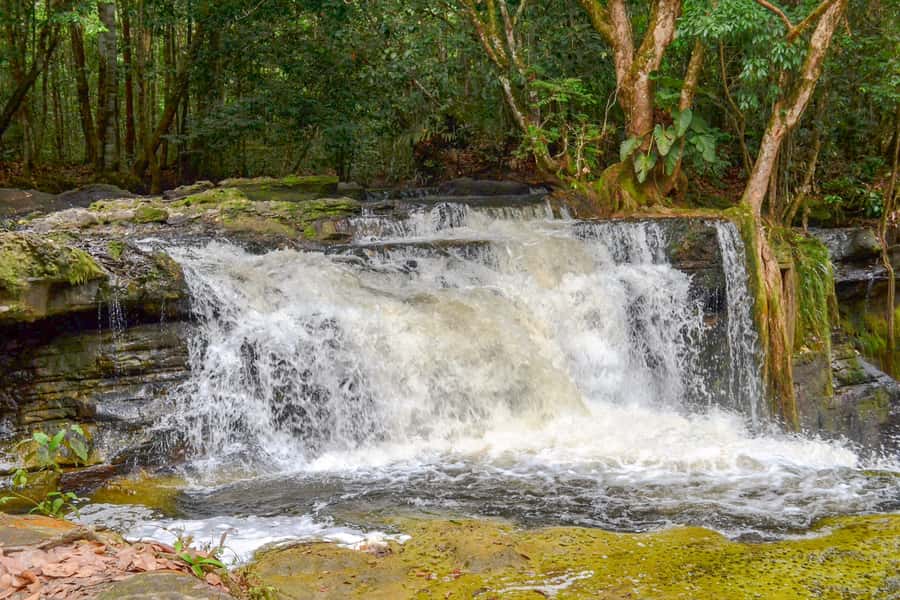 From Manaus: Presidente Figueiredo Waterfalls Daytrip - Guides, group size, and how the day feels