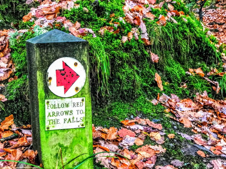 From Manchester: Lake District Sightseeing Day Trip - The main drawbacks to keep in mind