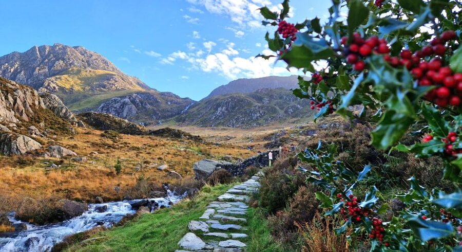 From Manchester: North Wales and Caernarfon Castle Day Trip - Snowdonia by minibus and roadside photo stops