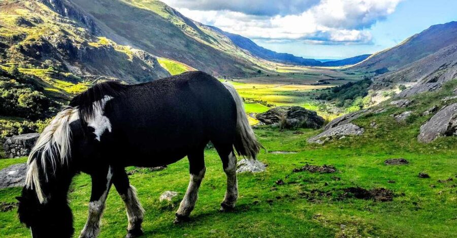 From Manchester: North Wales Sightseeing Adventure Day Trip - What to bring and who should book