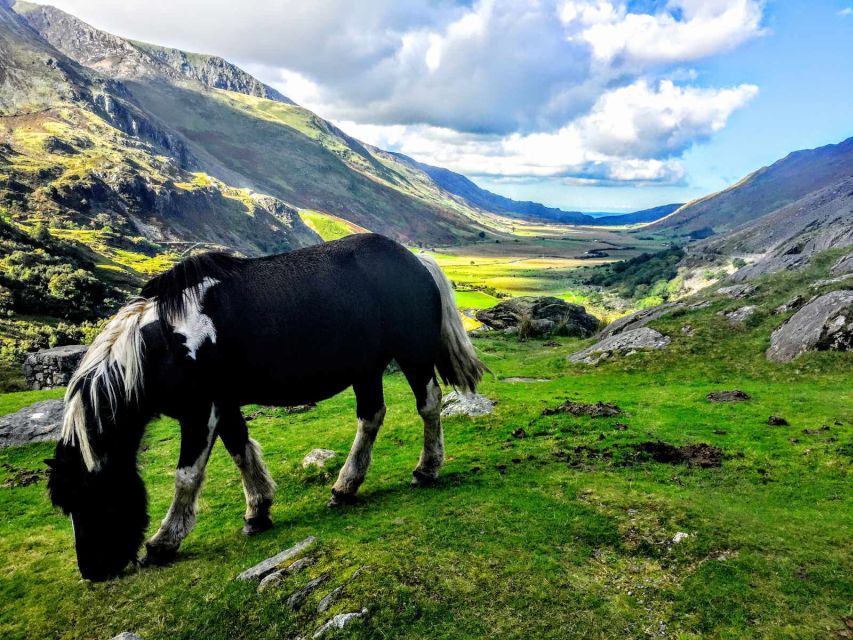 From Manchester: North Wales Sightseeing Adventure Day Trip - Conwy Castle and the medieval town