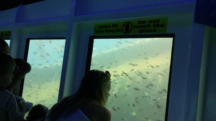 From Marmaris: Day Trip by Glass Bottom Semi Submarine - Tips for getting the best day on board